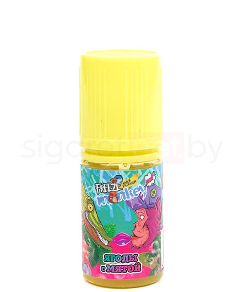 Жидкость MAX FLAVOR SALT - Ягоды с Мятой 30 мл ( 20 мг )