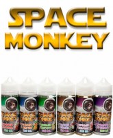 space-monkey-logo