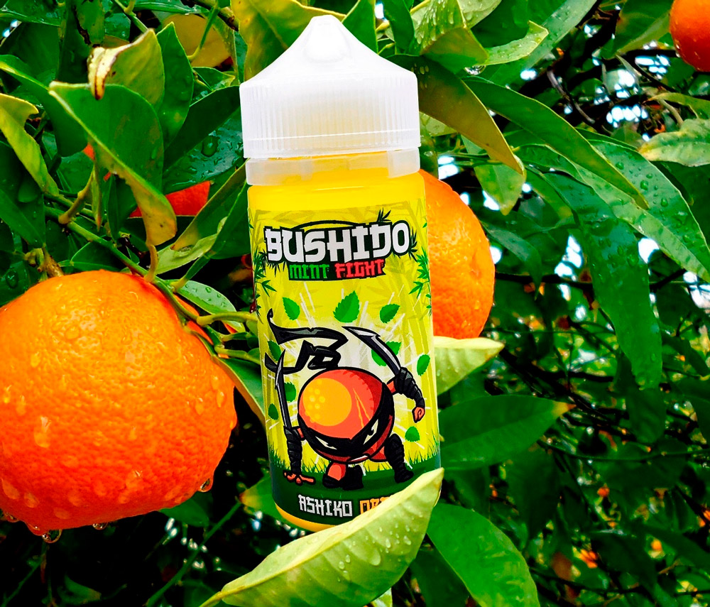 bushido-mint-fight.jpg