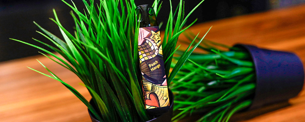 joyetech evio d peach mango