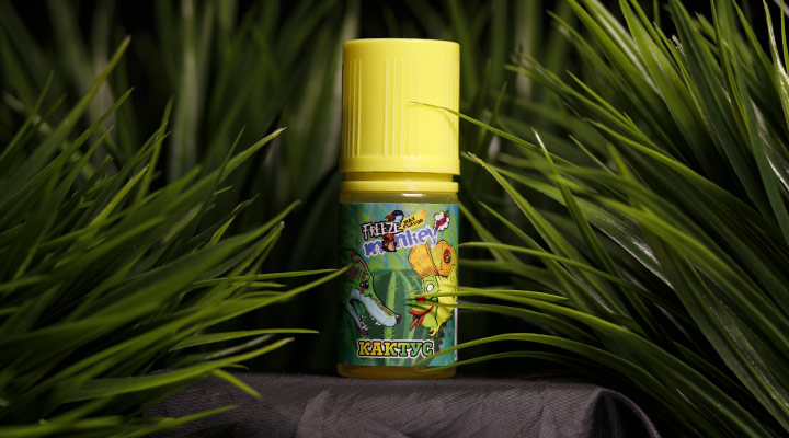 obzor freeze monkey max flavor salt kaktus