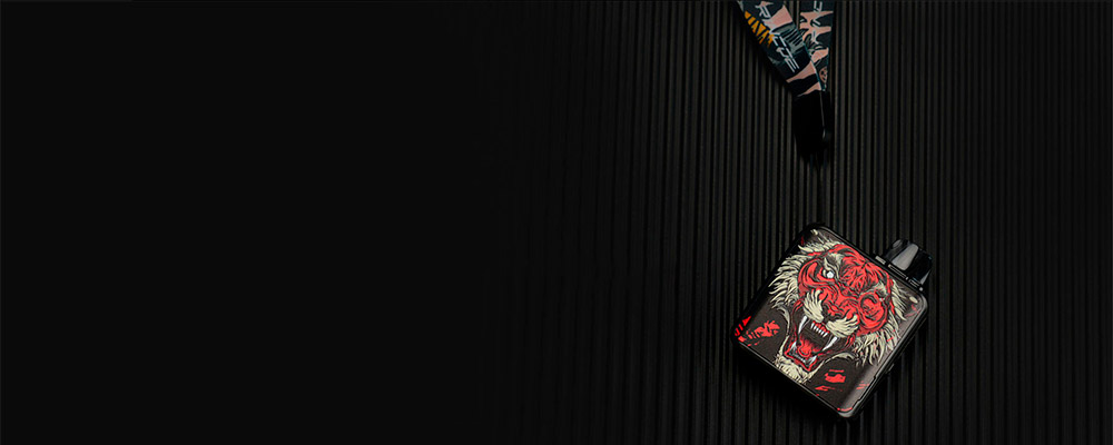 rincoe jellybox nano x lanyard