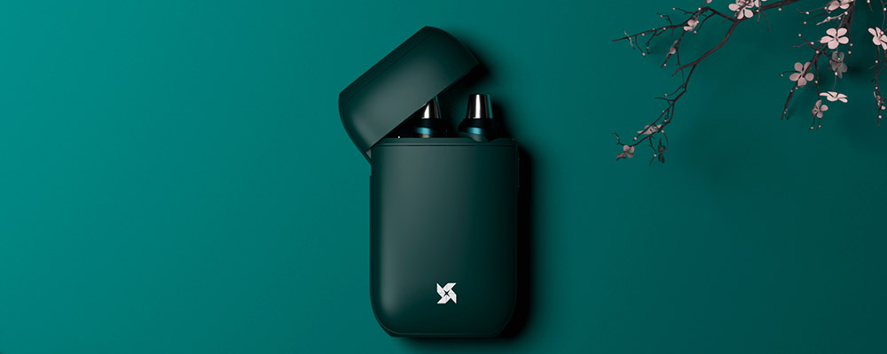 vapx art case green